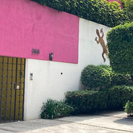 Hostal Cuija Coyoacan Berlin 268 Coyoacan Mexico City Exteriör bild