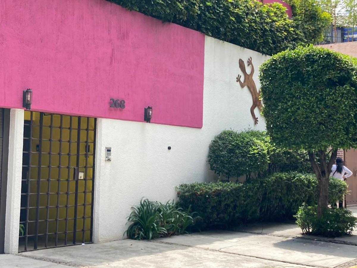 Hostal Cuija Coyoacan Berlin 268 Coyoacan Mexico City Exteriör bild