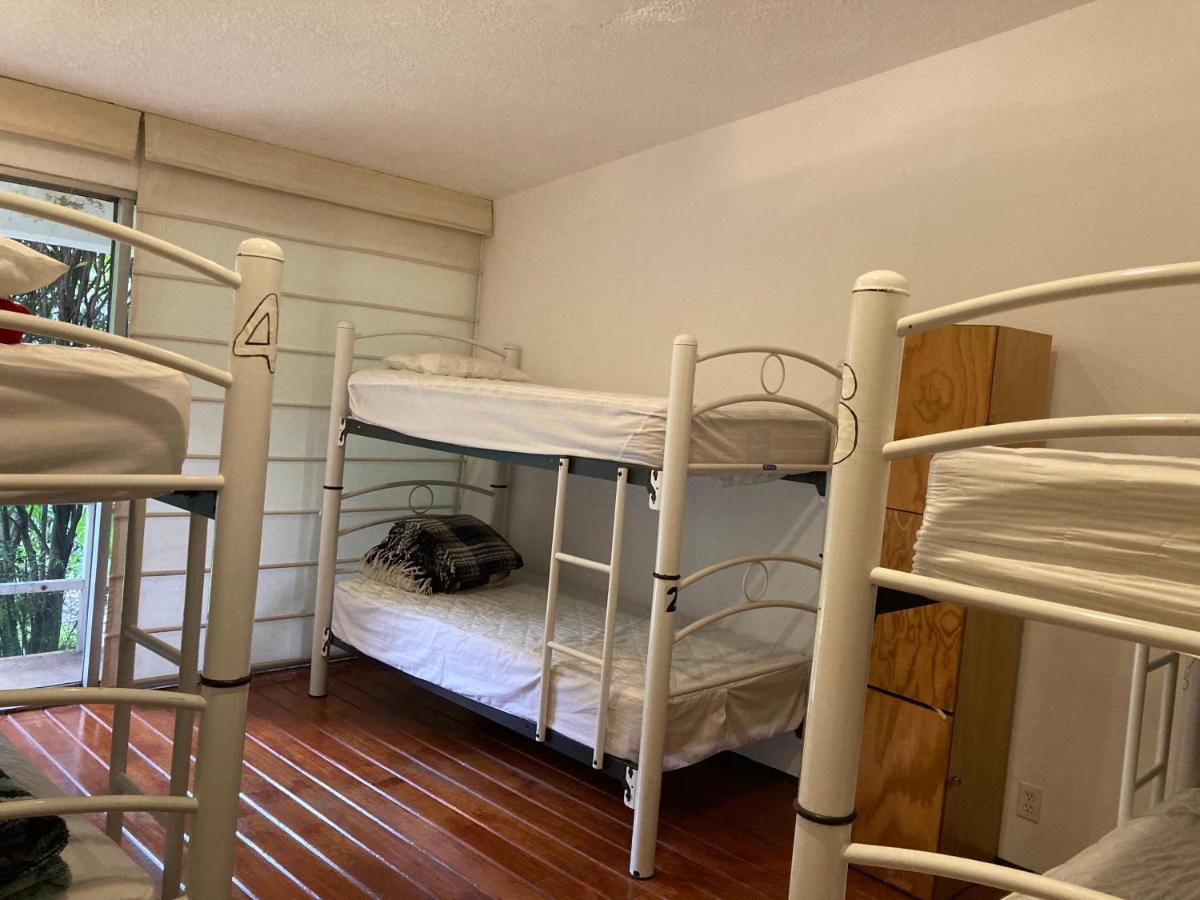 Hostal Cuija Coyoacan Berlin 268 Coyoacan Mexico City Exteriör bild
