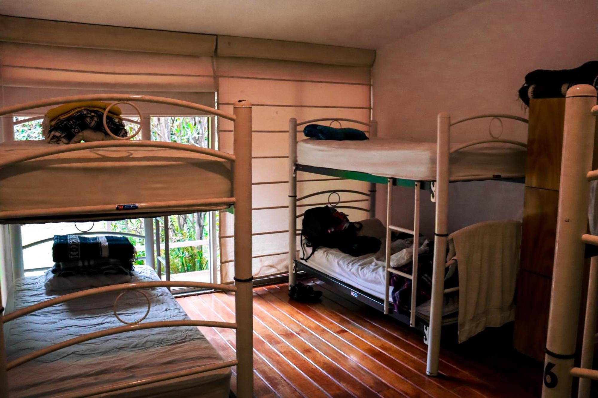 Hostal Cuija Coyoacan Berlin 268 Coyoacan Mexico City Exteriör bild
