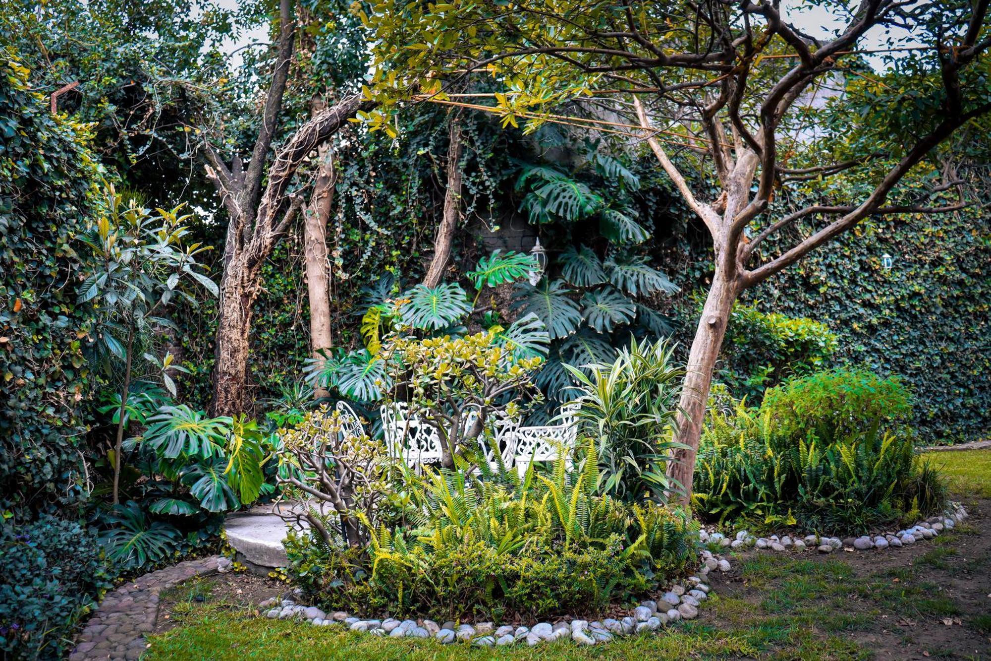 Hostal Cuija Coyoacan Berlin 268 Coyoacan Mexico City Exteriör bild