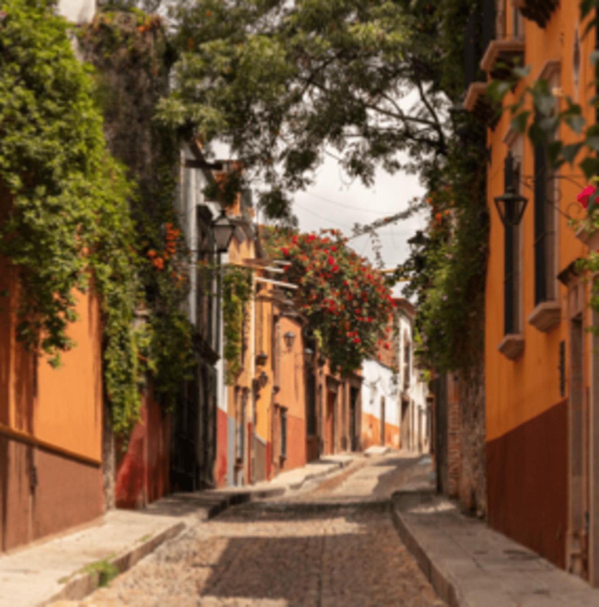 Hostal Cuija Coyoacan Berlin 268 Coyoacan Mexico City Exteriör bild
